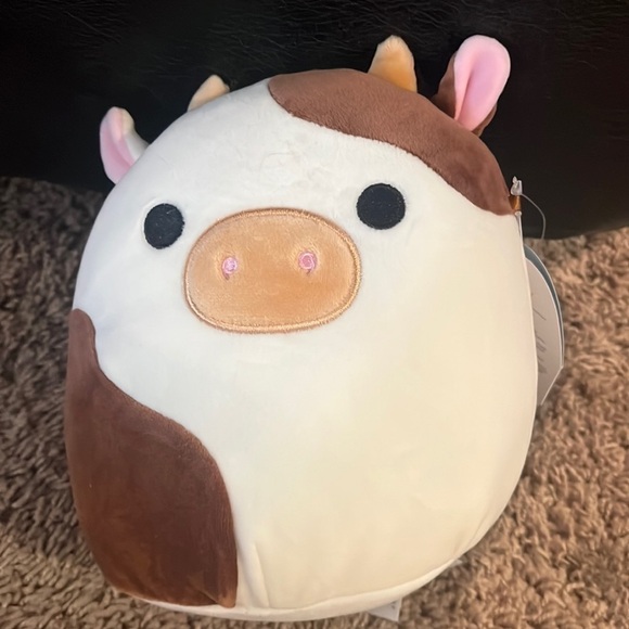 Squishmallows Other - Nwt Ronnie